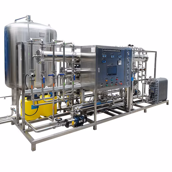 Chunke Industry Reverse Osmosis+EDI Electrodeionization Water Treatments System