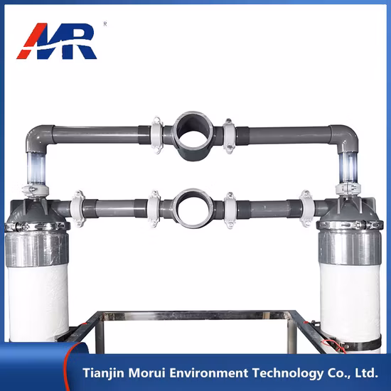Equipamento de tratamento de água 40tph UF sistema de purificação de água ultra pura para fábrica de concentrado de suco